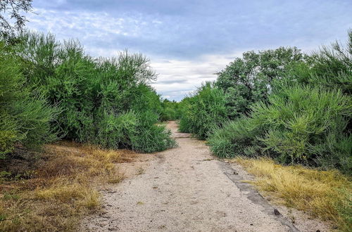 Photo 31 - Family-friendly Oro Valley Home w/ Mtn Views