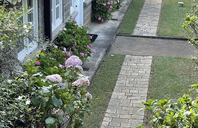 The Blossoms - Foto 40