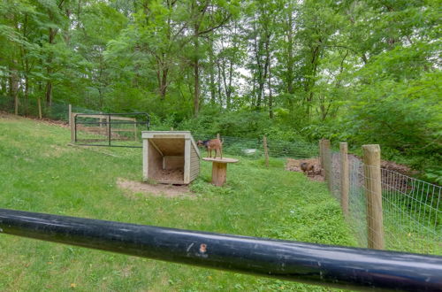 Photo 19 - Charming Manheim Cottage w/ On-site Animal Viewing