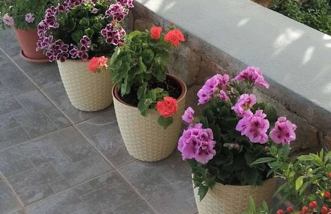 Cozy Apollon Villa, Sea View, Next To Galaxidi - Foto 22