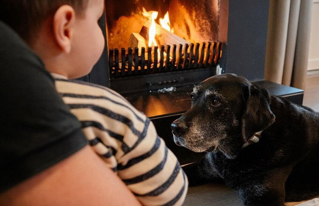 Detached Villa with Outdoor Fireplace near Veluwe - Foto 11
