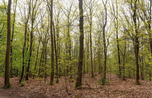 Terraced Home in Voorthuizen Near Veluwe - Foto 30