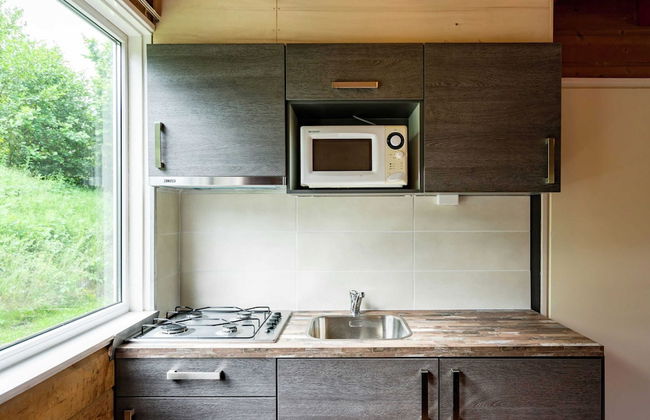 Detached Chalet in Tranquil Dutch Countryside - Foto 4