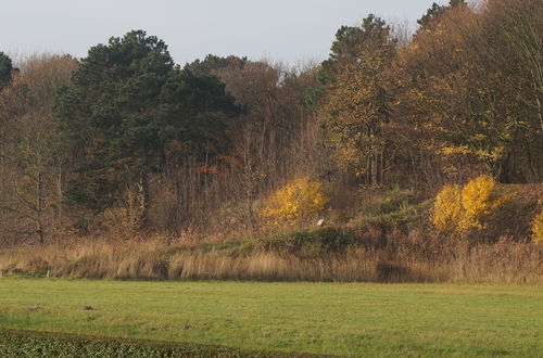 Photo 25 - Nice House with Large Garden in Noordwijk & near Sea