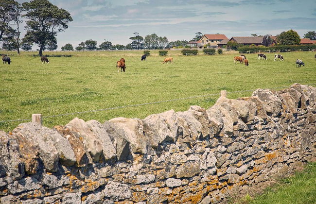 Host Stay Cheviot View - Foto 20