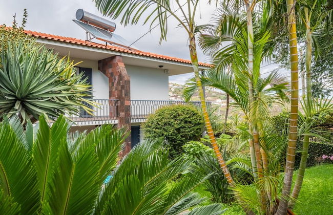 Casa Olimpo by Madeira Sun Travel - Photo 30