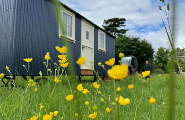 Shepherdshut-cotswolds-petfriendly-woodburner - Foto 28