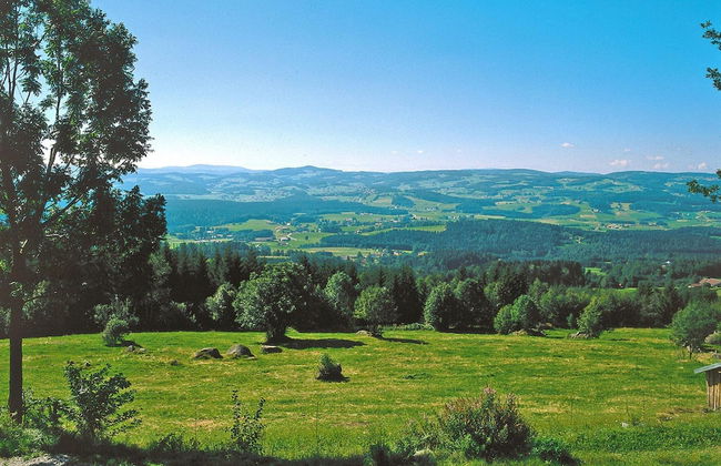 Holiday Home in Neureichenau Near Bavarian Forest - Photo 34