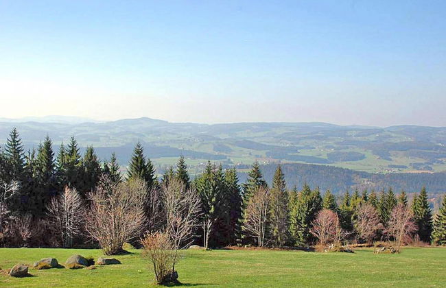 Holiday Home in Neureichenau Near Bavarian Forest - Photo 31