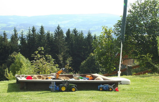 Holiday Home in Neureichenau Near Bavarian Forest - Photo 16