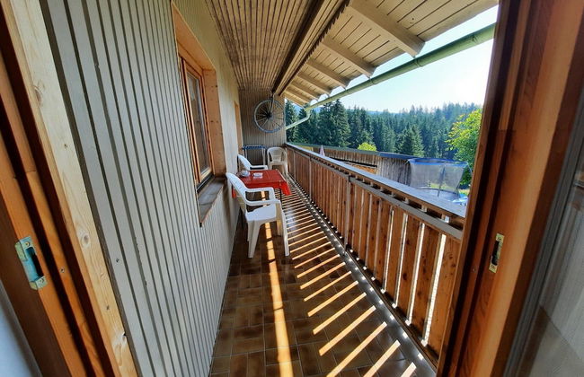 Holiday Home in Neureichenau Near Bavarian Forest - Photo 33