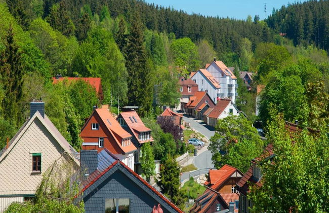 Ferienhaus in Schierke mit Garten - Foto 19
