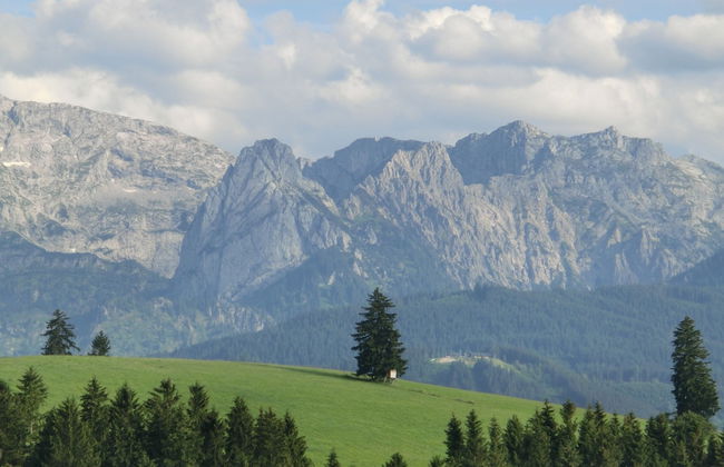 Log Cabin in Bavaria With Covered Terrace - Foto 25