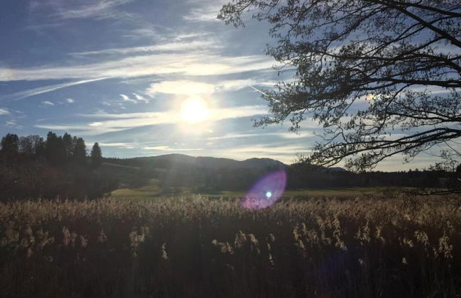 Appealing Apartment in Bad Bayersoien With Balcony - Foto 60