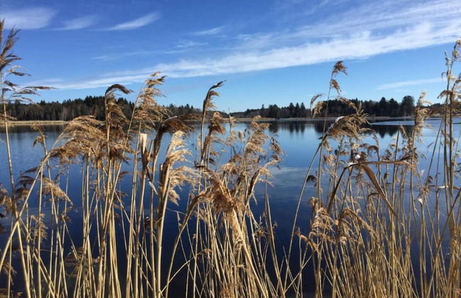Appealing Apartment in Bad Bayersoien With Balcony - Foto 68