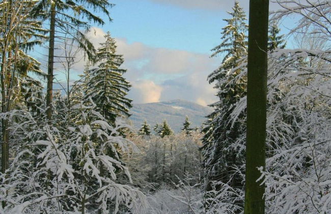 Apartment in Tannesberg Near Goldsteig Trail - Foto 37