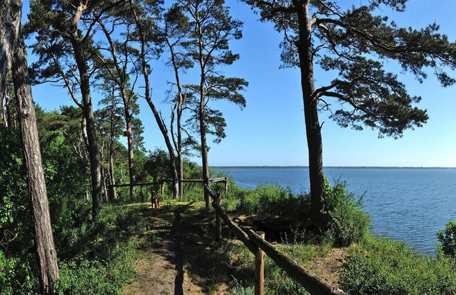 Apartment in Lubin Near Lake Wicko - Photo 31