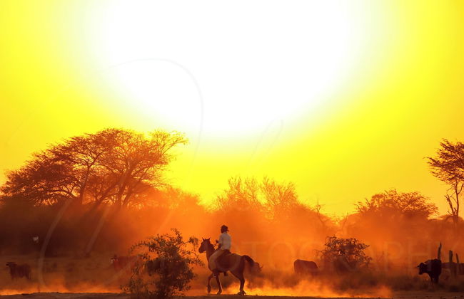 Destiny Blo Inn - Foto 9