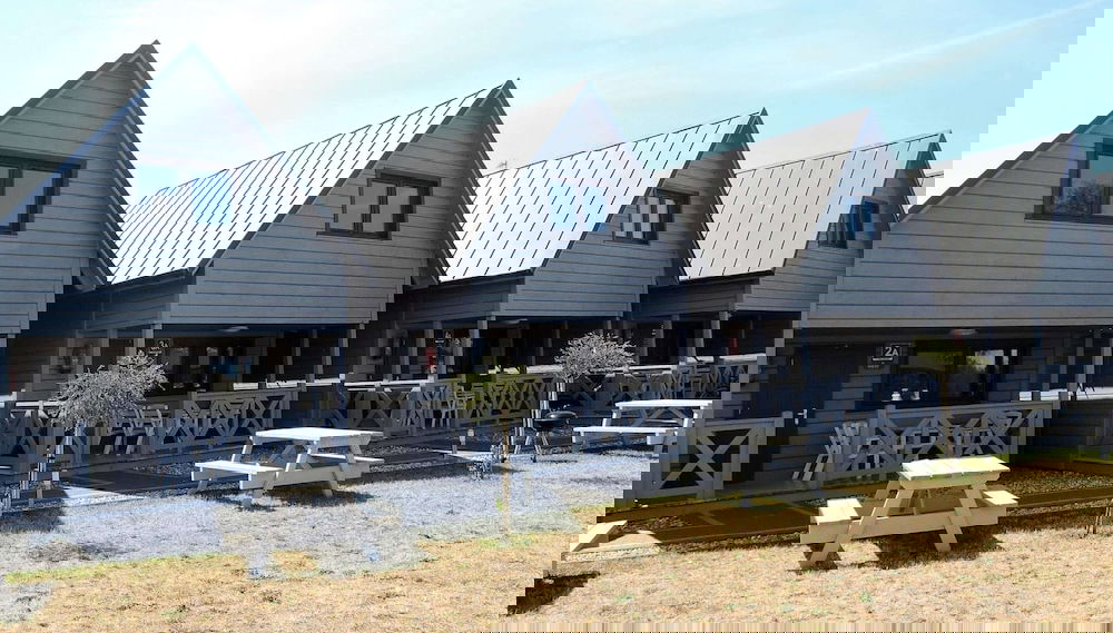 Primary image