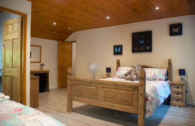 Snowdonia-3bedroom-2 Bathroom-petfriendly-garden - Foto 8