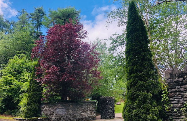 3 Bedroomed Home Just 15 Mins Walk From Kenmare Town - Foto 9