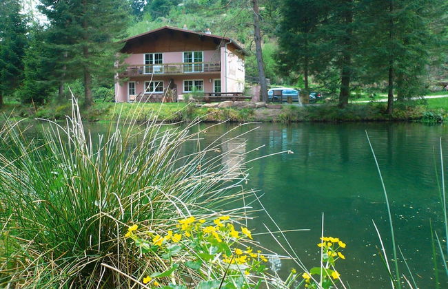 Holiday Accommodation in the Zorn Valley - Photo 22