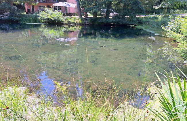 Holiday Accommodation in the Zorn Valley - Photo 20