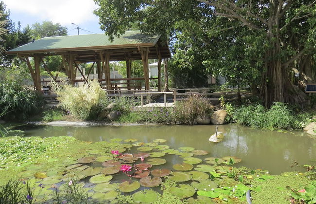 Ecolodge Saba - Natural Pool & Beach - Foto 12