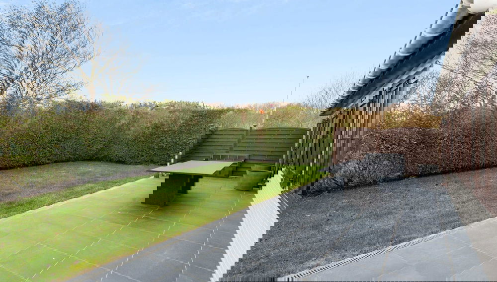 Primary image