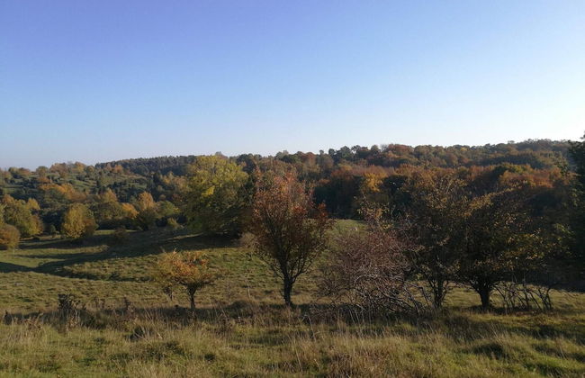 4 Star Holiday Home in Garsnas - Foto 11