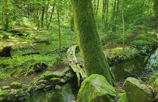 4 Star Holiday Home in Garsnas - Foto 9