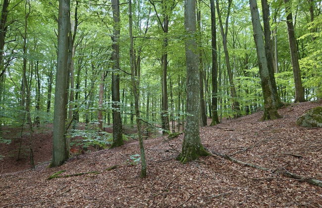 4 Star Holiday Home in Garsnas - Foto 7