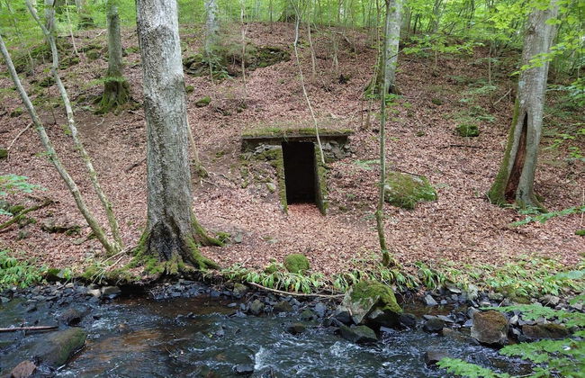 4 Star Holiday Home in Garsnas - Foto 10