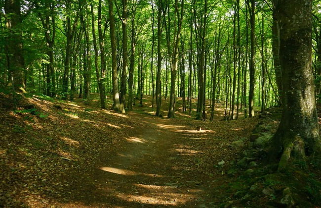 4 Star Holiday Home in Garsnas - Foto 6