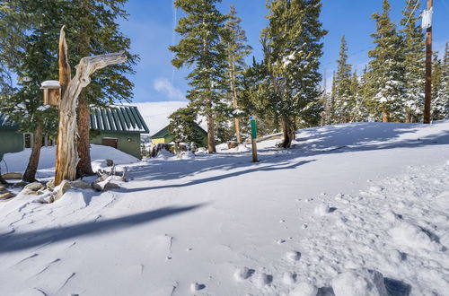 Photo 24 - Fairplay Cabin w/ Mountain Views on 9 Acres