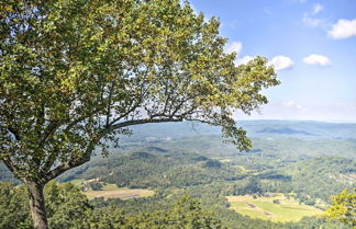 Photo 3 - Scenic Sanctuary in Lookout Mountain w/ Views