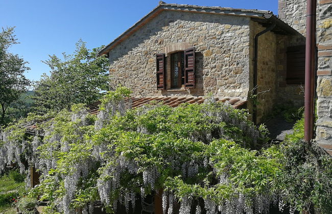 Agriturismo Casa Greppo - L'Ulivo - Foto 15