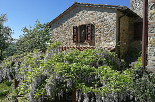 Photo 15 - Agriturismo Casa Greppo - L'Ulivo