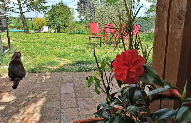 Agriturismo Casa Greppo - L'Ulivo - Foto 16