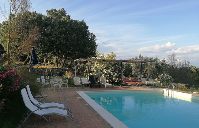 Agriturismo Casa Greppo - L'Ulivo - Foto 23