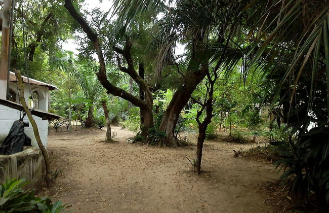 Campement Kunja kafountine - Foto 10