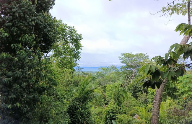 Corcovado Private Villas - Foto 80