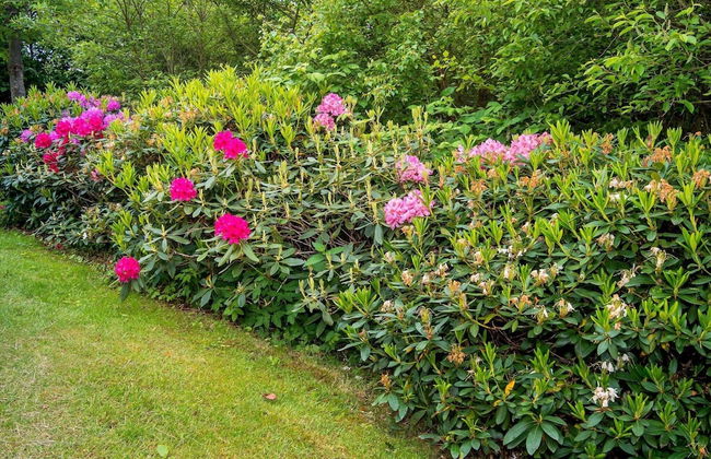 6 Person Holiday Home in Struer-by Traum - Foto 46