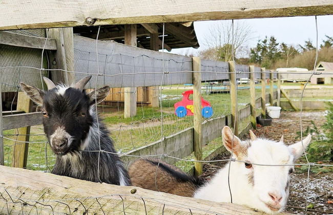 6 Person Holiday Home in Struer-by Traum - Foto 55