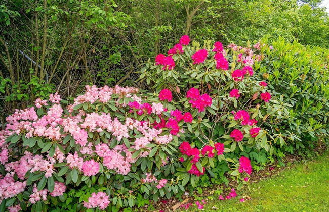 6 Person Holiday Home in Struer-by Traum - Foto 40