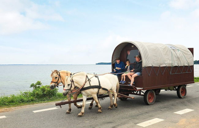 4 Person Holiday Home in Skarup Fyn - Foto 26
