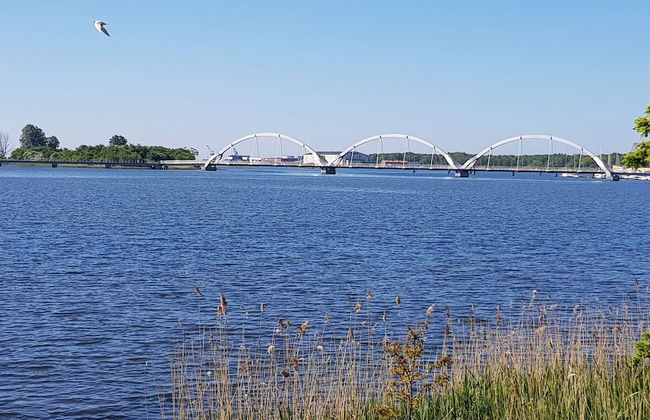 4 Person Holiday Home in Solvesborg - Foto 22
