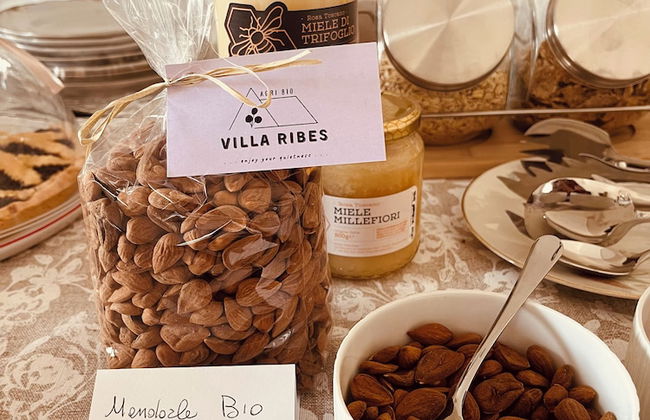 AgriBio Villa Ribes - Foto 41