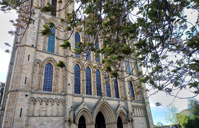 Central Ripon - Sleeps 3 - Garden - Pet Friendly - Foto 22
