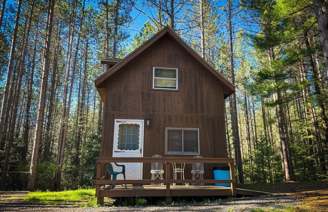 Boyer's Pond Campground - Foto 10